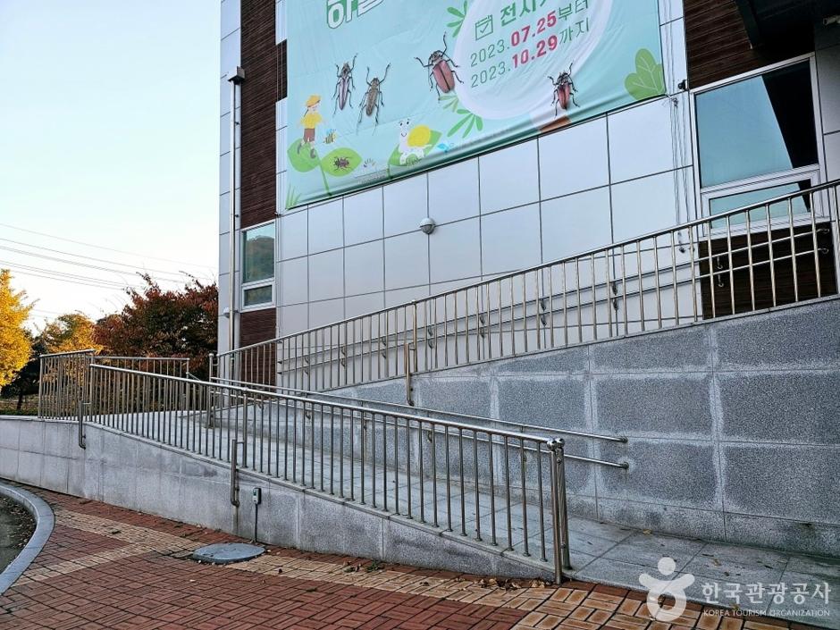 곤충박물관